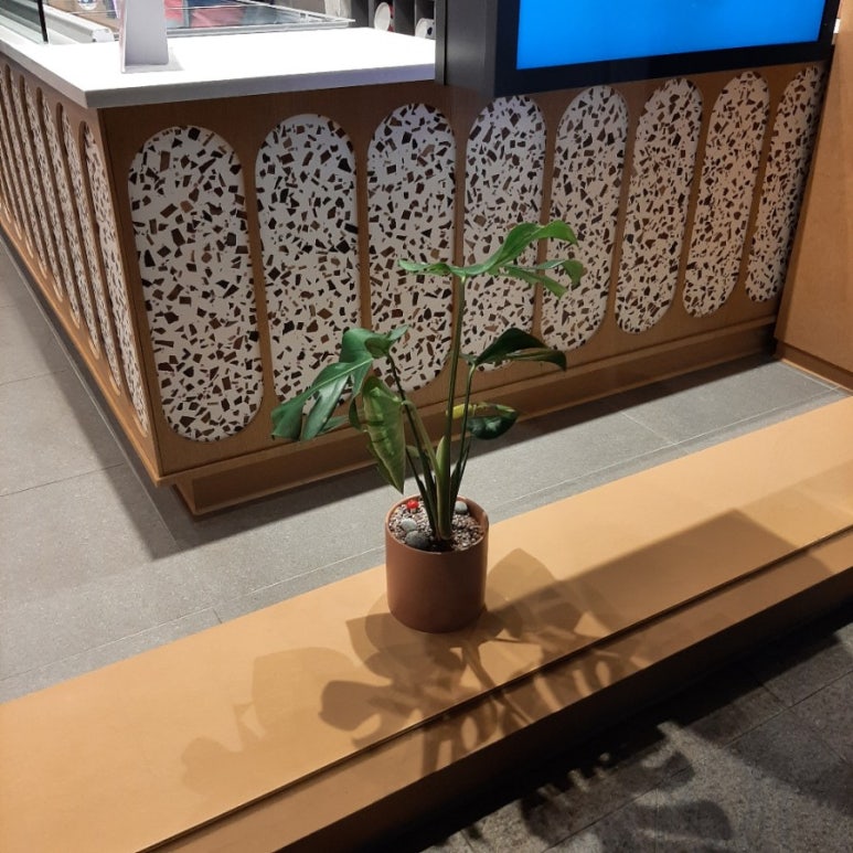 배스킨라빈스 포항창포점 이미지