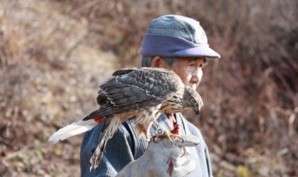 우첨지 이미지