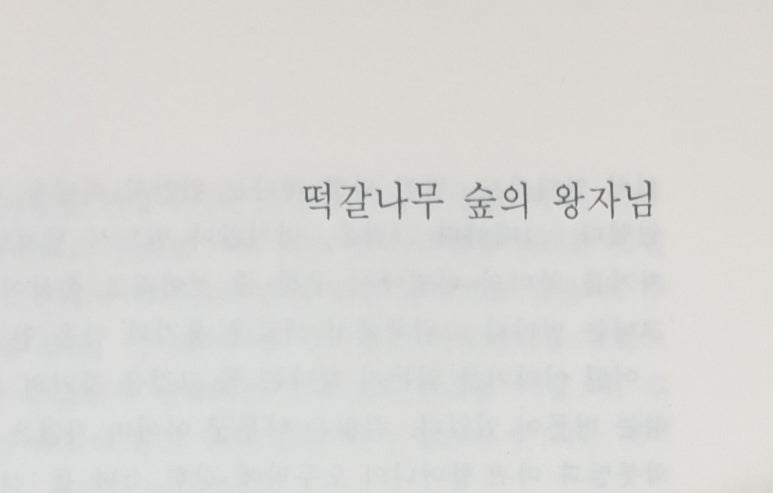 떡갈나무숲 이미지