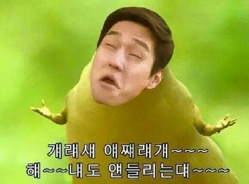 비티라인 이미지