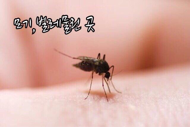 뷰티월드 이미지