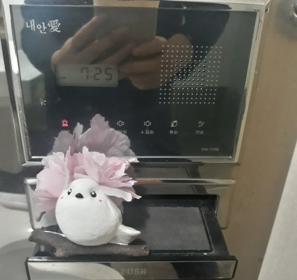 이든혜윰 이미지
