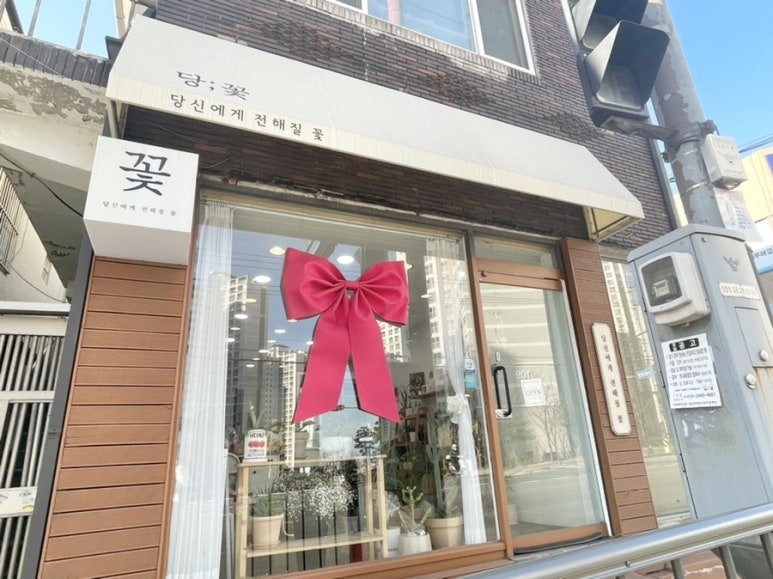 당신에게전해질꽃 이미지