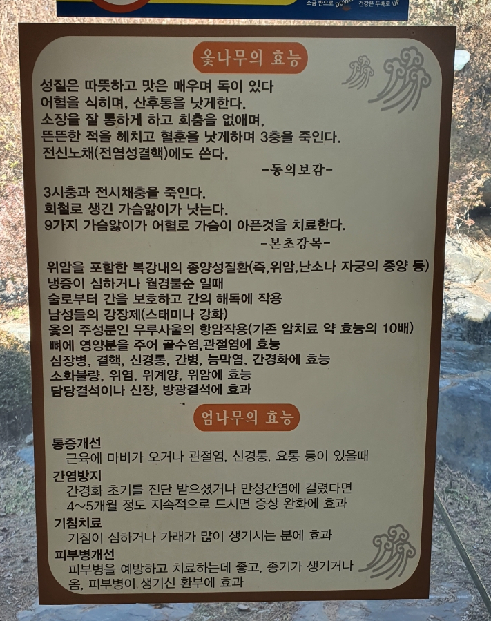 바윗재백숙 이미지