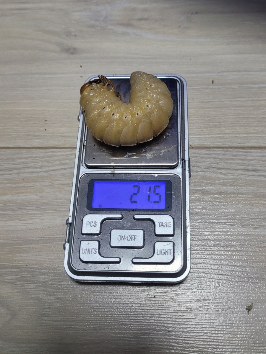 지케이케이 이미지