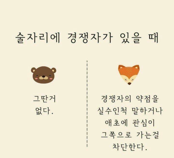 곰과여우 이미지