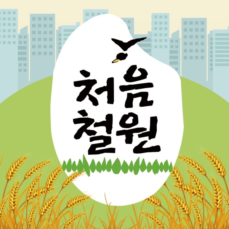 보므 청담 이미지