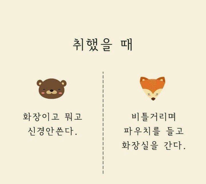 곰과여우 이미지