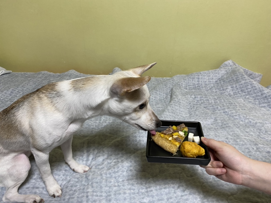 간식마켓 이미지