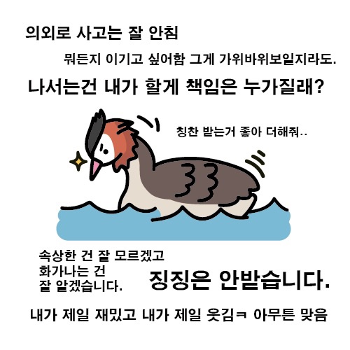 코드이스케이프 이미지
