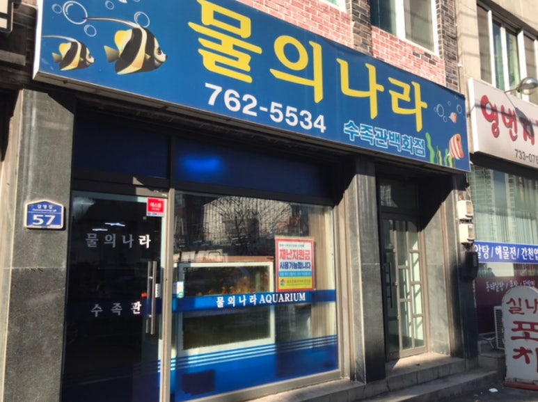 물의나라수족관 이미지