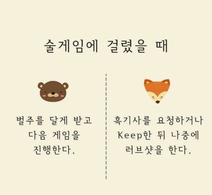 곰과여우 이미지