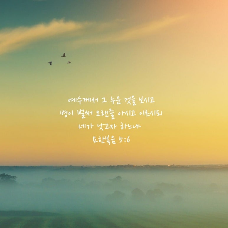 채은병 이미지