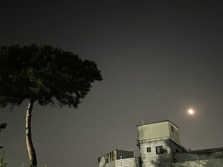 두손밸리(주) 이미지
