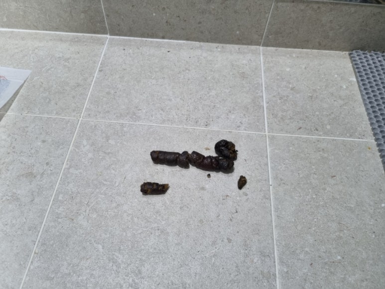 카앤닥터 이미지