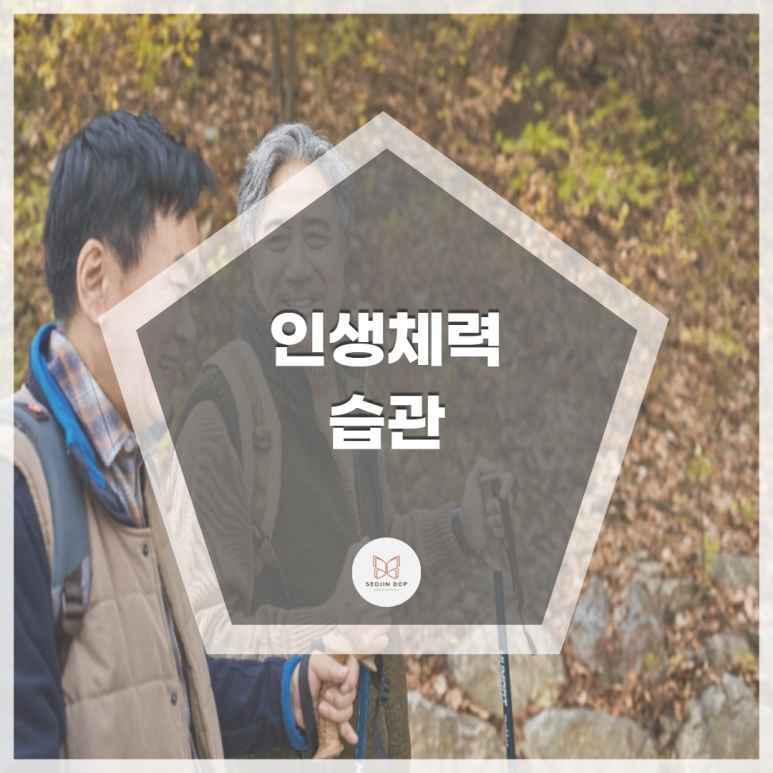 서진DCP 이미지