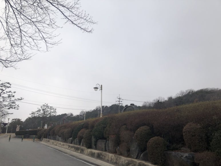 갤러리예당카페 이미지