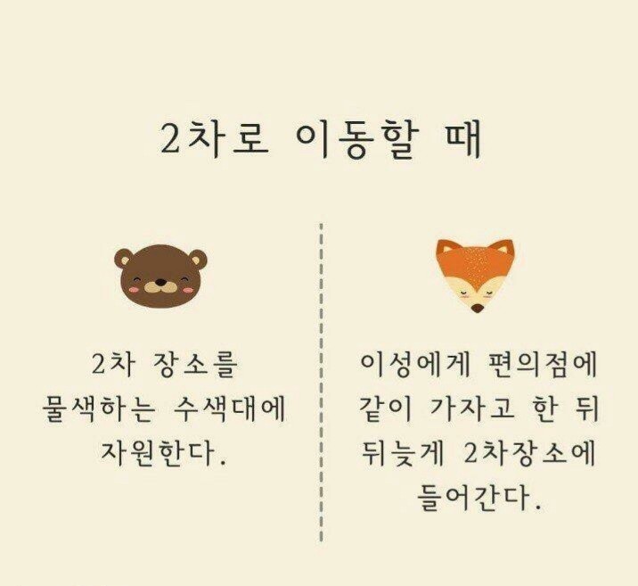 곰과여우 이미지