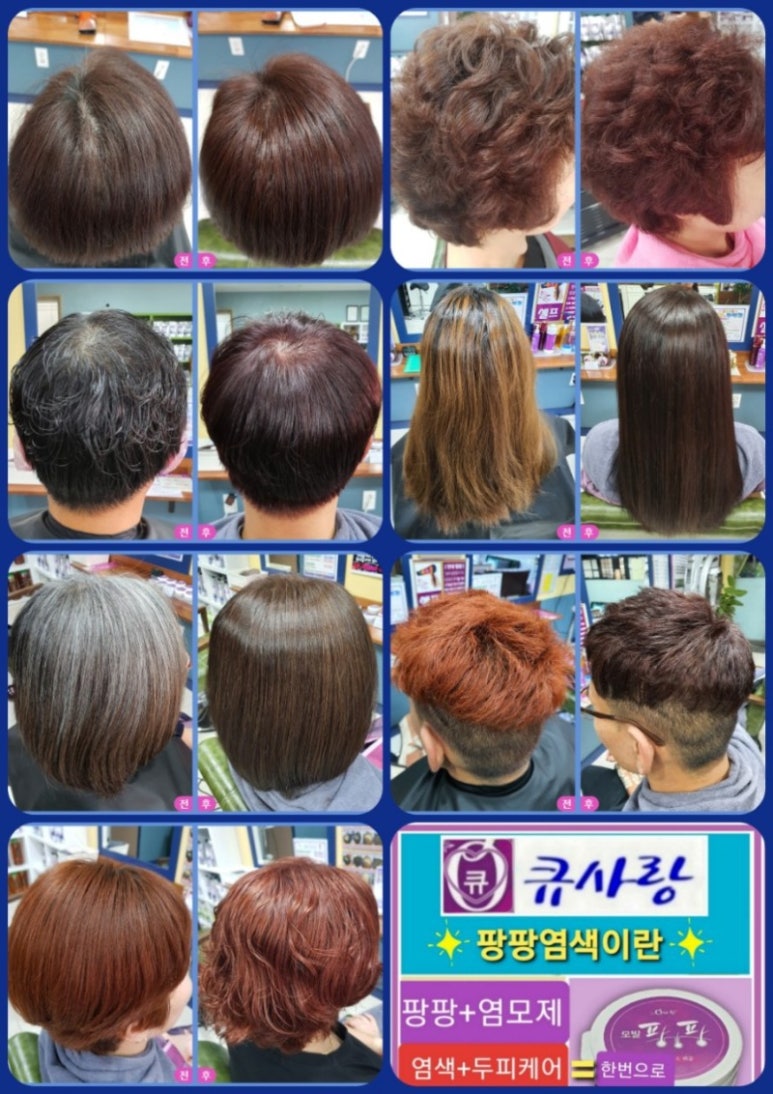 큐사랑대전 이미지