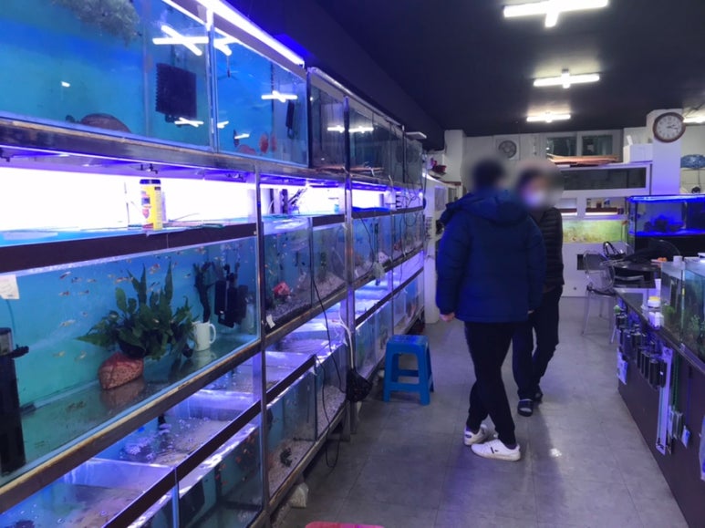 물의나라수족관 이미지
