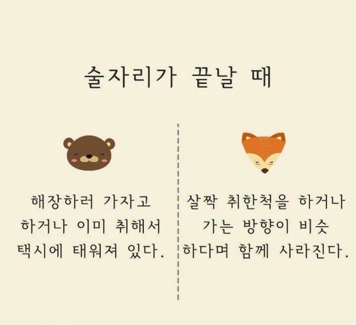 곰과여우 이미지