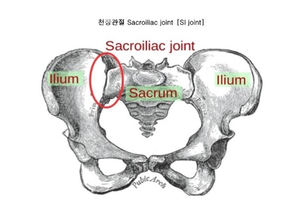 스탠바이짐 이미지