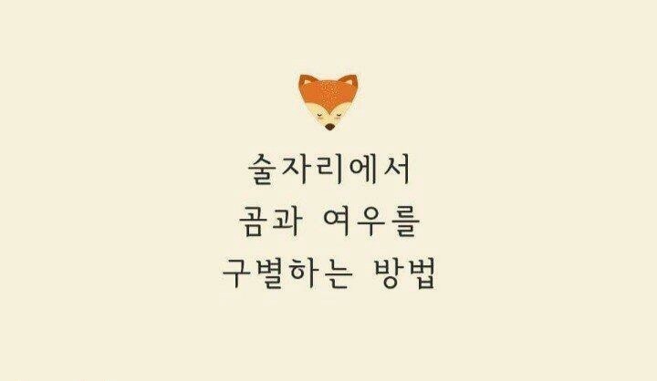 곰과여우 이미지
