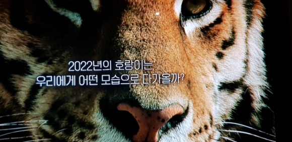 숙명가야금병창 이미지