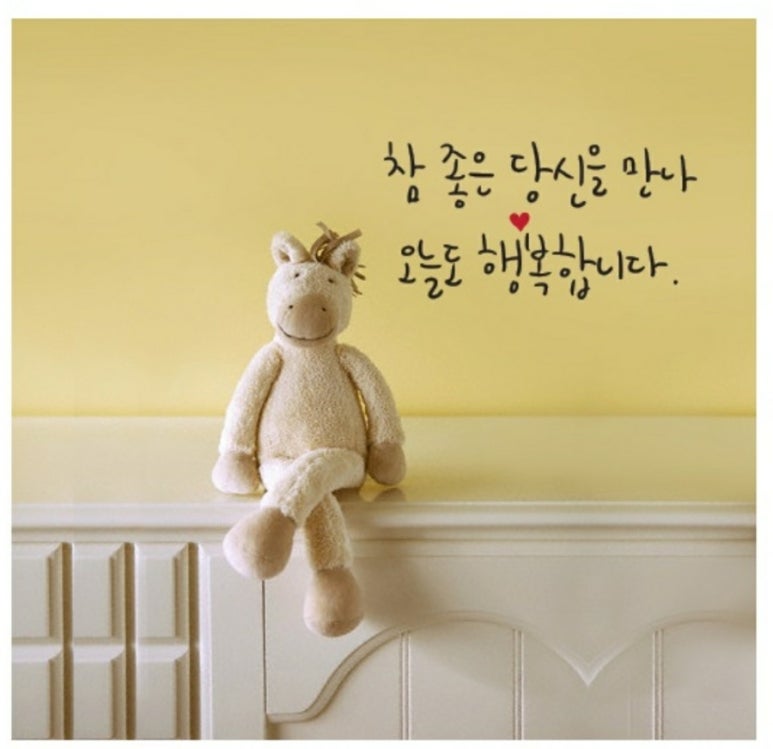 새집클로버 이미지