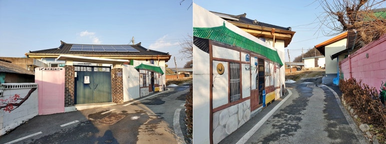 자작나무숲꽃마리 이미지