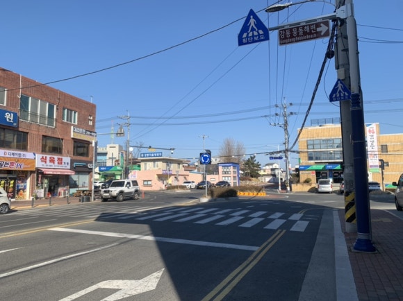 몽도리(MONGDORI) 이미지