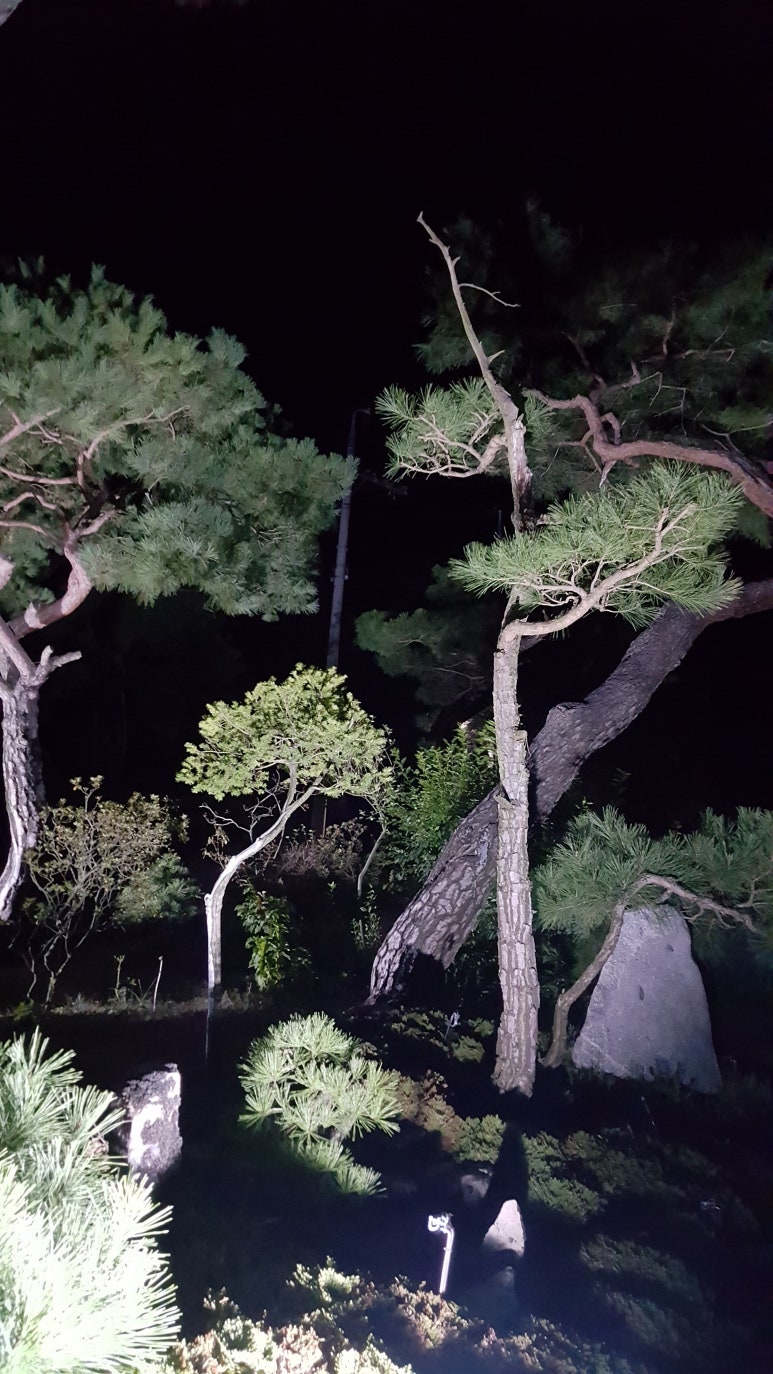 송*하 이미지
