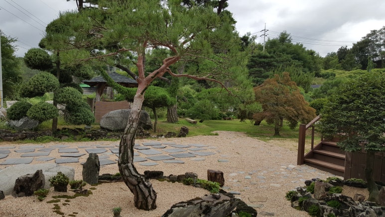 송*하 이미지