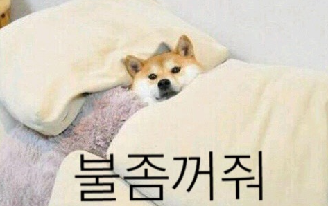 꿀잠 이미지