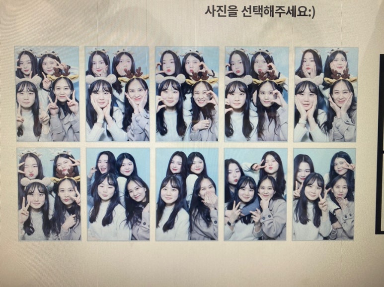 이월로스터스 이미지