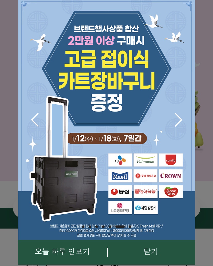 지에스더프레시방학 이미지