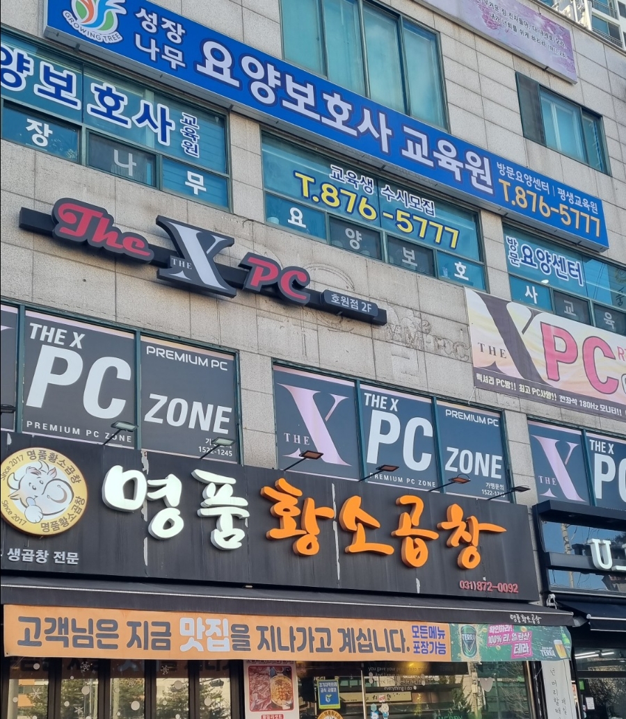 나무요양보호사교육원 이미지