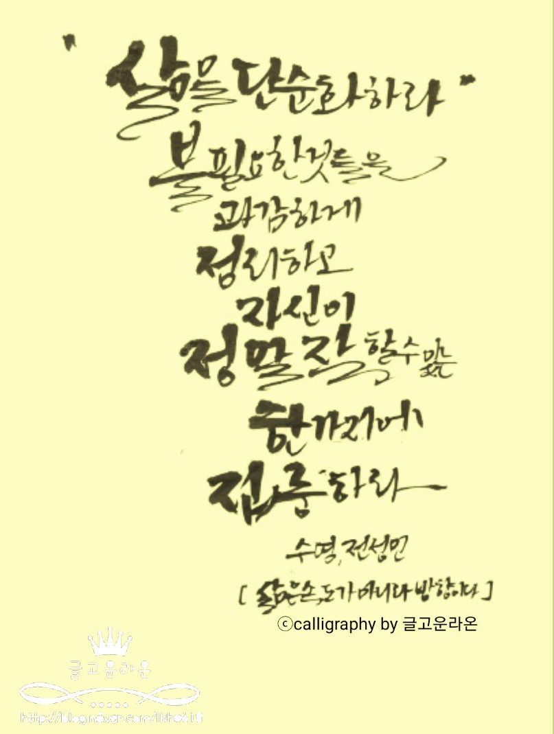 금손테라피 이미지