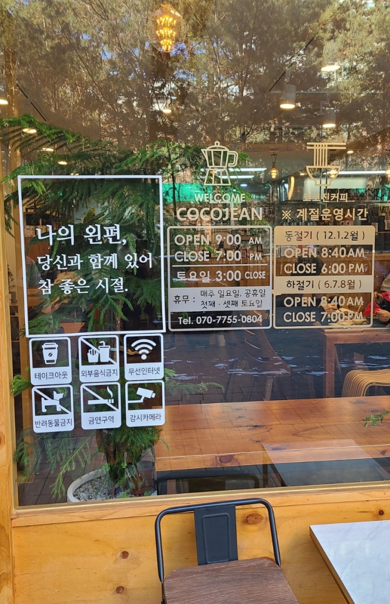 코코진 이미지