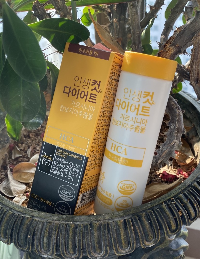 보타노스 이미지