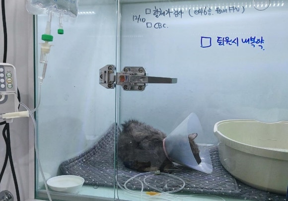 태극사진관 이미지