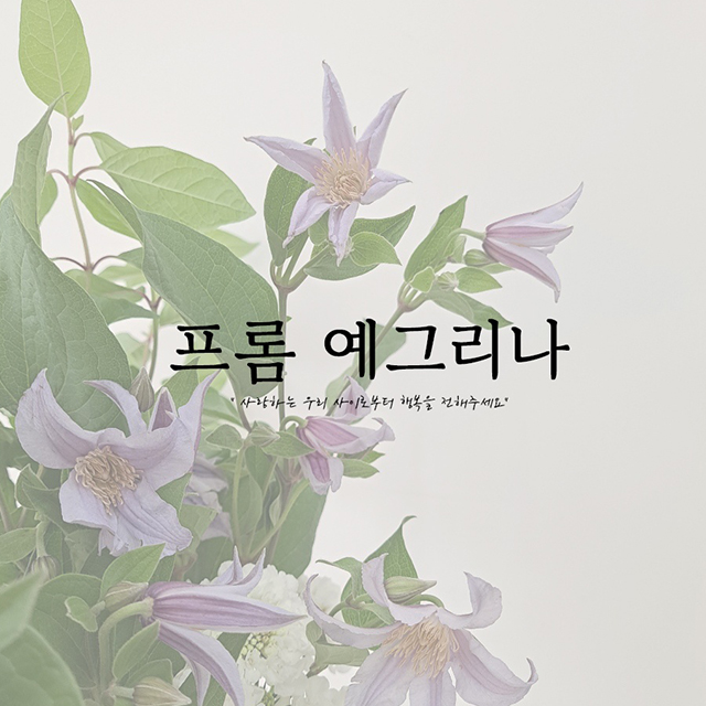 프롬예그리나 이미지