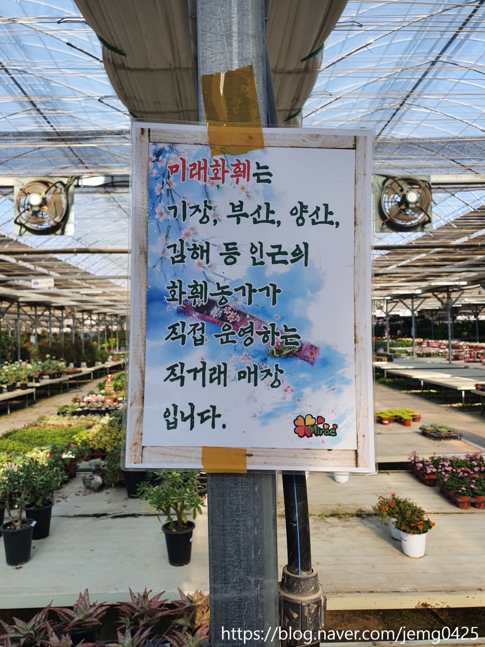 미래꽃화분 이미지