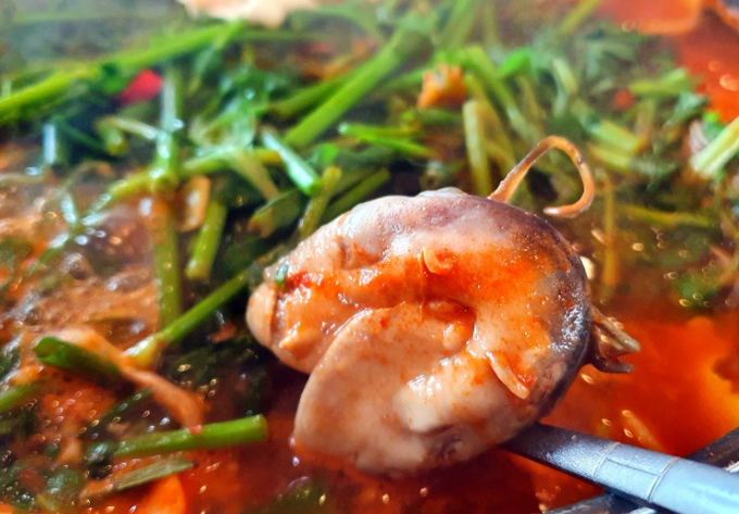 서민메기매운탕` 이미지