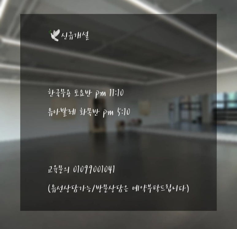 도안더에이치발레학원 이미지