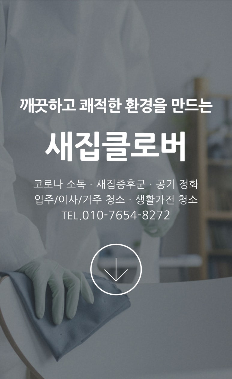 새집클로버 이미지