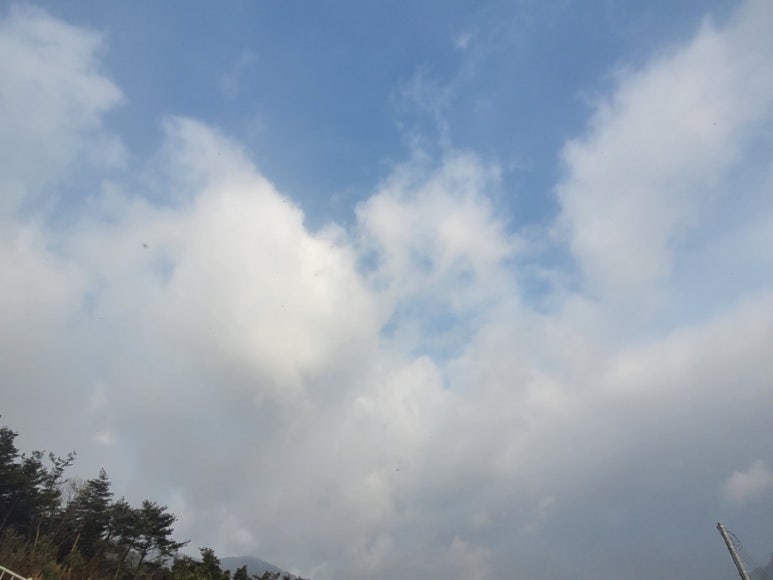 밤소리관광농원 이미지