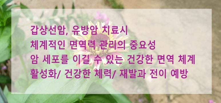 분당유외과의원 이미지