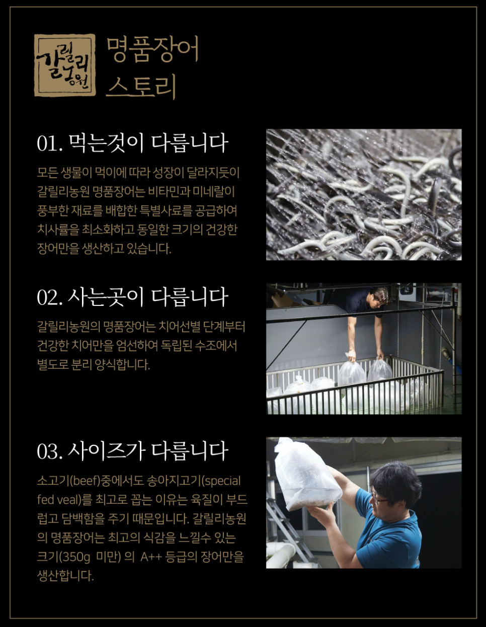 명품장어 이미지