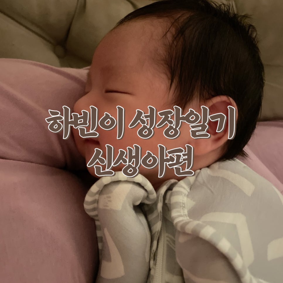 하빈쇼핑 이미지
